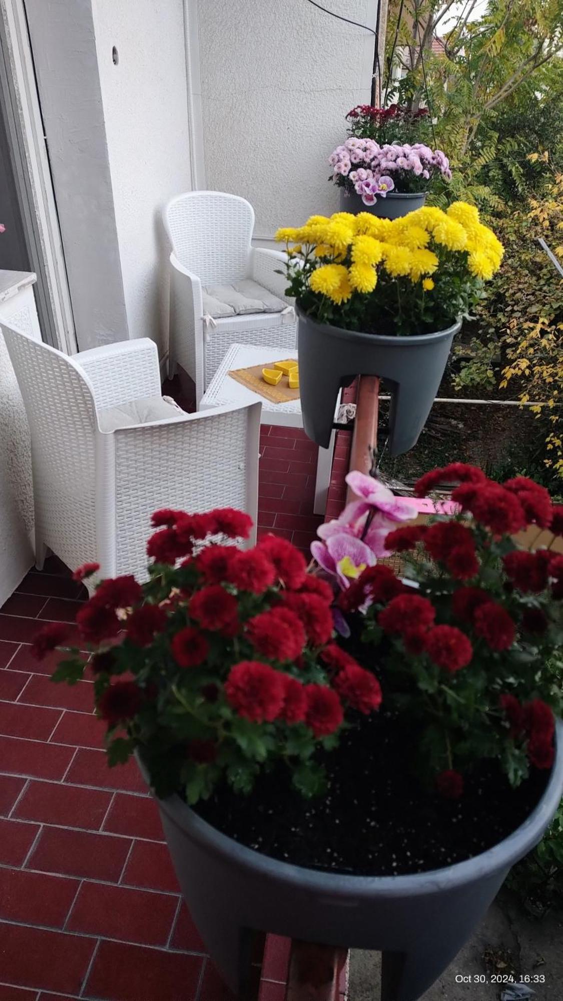 Digital Nomad Comfy Apartment,Foot Mountain Vodno And Millennium Cross,19 Min By Walk To Cener,Free Parking Skopje Esterno foto